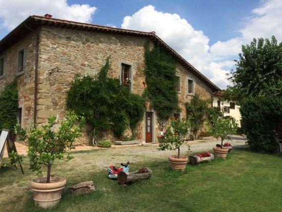 Agriturismo Relais Poggio Primo Borro Exteriör bild